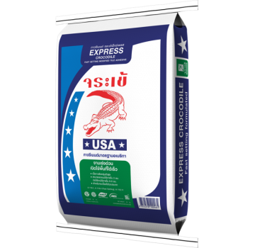 ปูนกาวสำหรับงานด่วน !! เลือกให้ถูก ช่วยประหยัดเวลาและลดต้นทุนงานก่อสร้าง