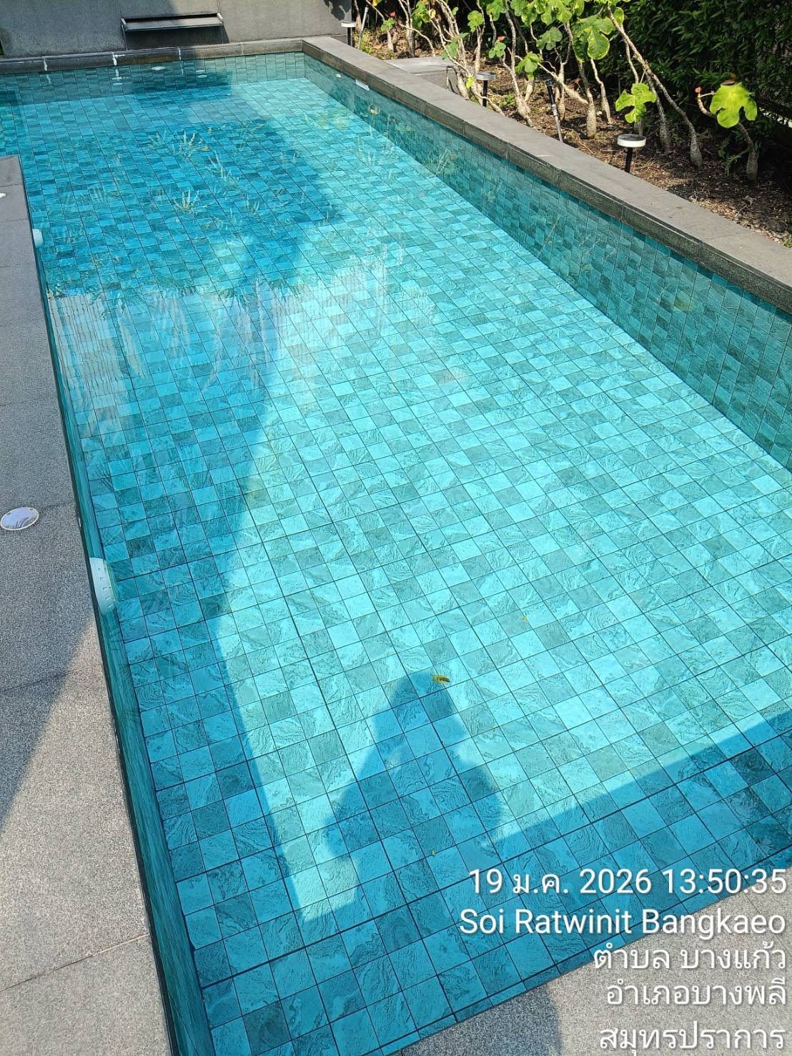 ยาแนวสระว่ายน้ำกับกระเบื้องโมเสกแก้ว สำคัญกว่าที่คิด เลือกผิดซ่อมทั้งสระ